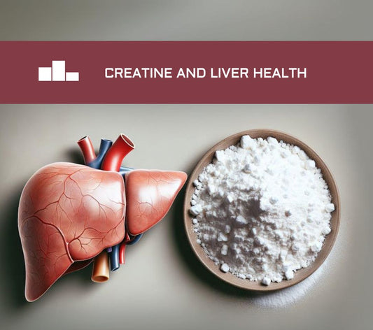 Creatine and Liver Health: Is Creatine Safe for Your Liver?