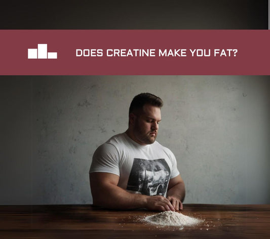 creatine Make you Fat