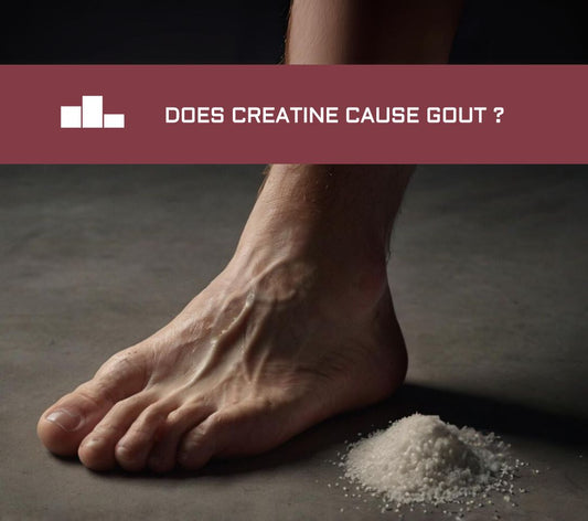 creatine and gout