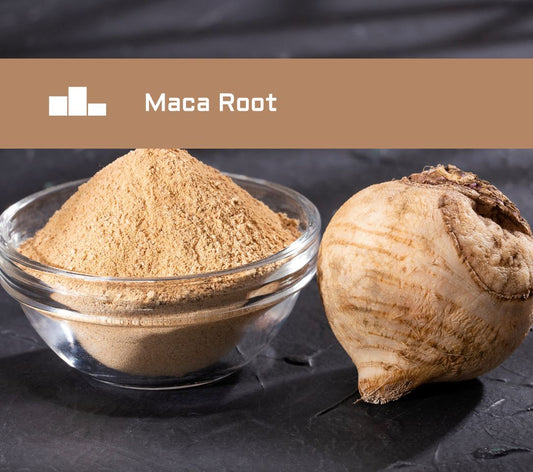 The Best Maca Root for Women